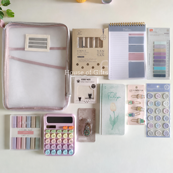 Aesthetic Mesh Folder Pouch Stationery Combo / Hamper