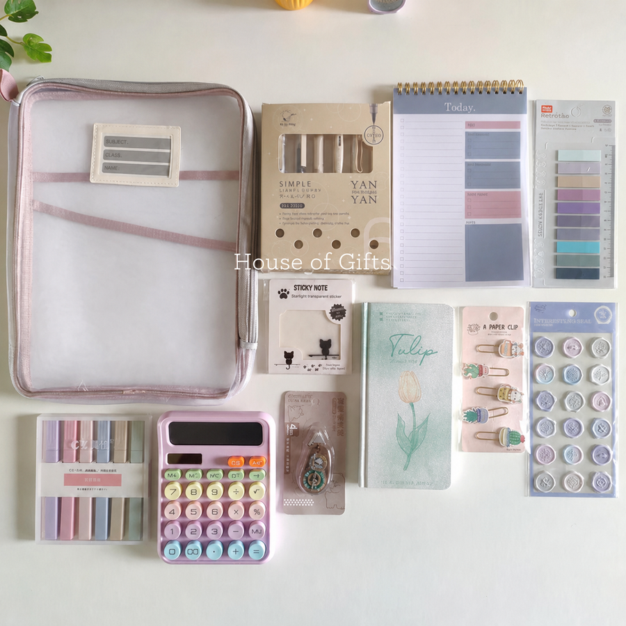 Aesthetic Mesh Folder Pouch Stationery Combo / Hamper