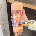 Capybara Double Sipper Water Bottle 580ML ( 1pc )