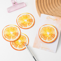 Fruit Pop Sticky Notes ( 4pcs )