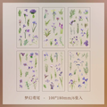 Natural Series Journaling Sticker Sheets ( 6 Sheets )