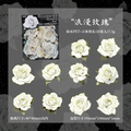 Flowers Retro Black & White Journaling Scrapbooking Stickers ( 20pcs )