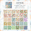 Southern Tour Journaling Scrapbooking Texture Paper Set ( 30 sheets )