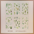 Natural Series Journaling Sticker Sheets ( 6 Sheets )