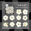 Flowers Retro Black & White Journaling Scrapbooking Stickers ( 20pcs )